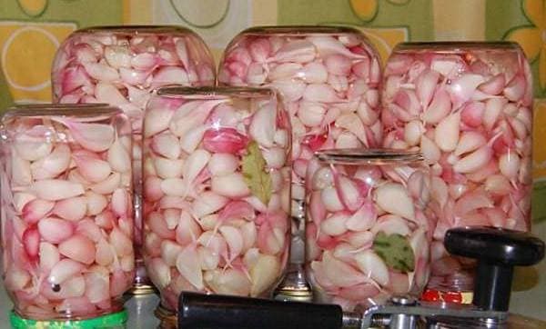 Titelbild für Eingelegter Knoblauch ohne Einmachen, der über das ganze Jahr genutzt werden kann und wie ein frischer ist