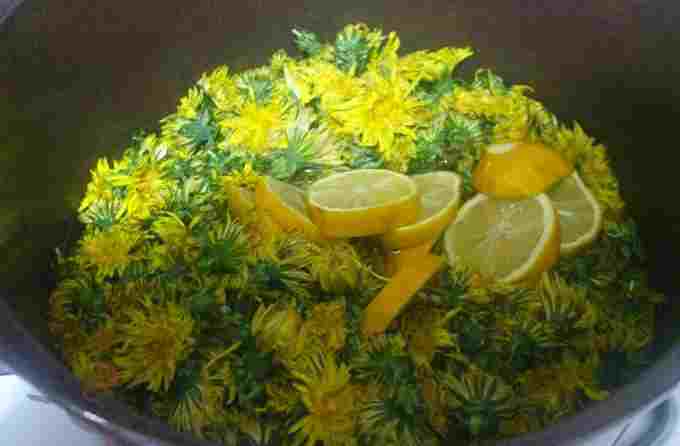 Titelbild für Löwenzahnhonig – ein uraltes Rezept aus Omas Küche