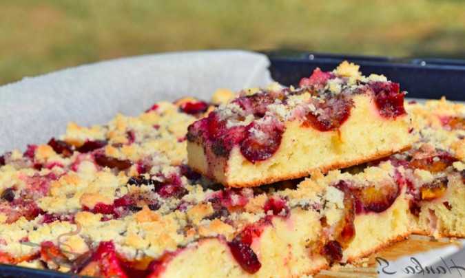 Titelbild für Blitzschneller Blechkuchen mit Pflaumen (oder mit beliebigem Obst)
