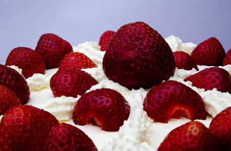 Titelbild für ERDBEER – ÜBERRASCHUNG