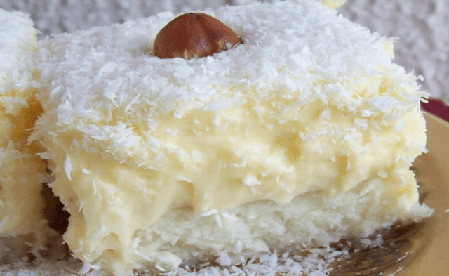 Titelbild für geschmackvoll – KOKOSKUCHEN MIT VANILLEPUDDING, BLITZSCHNELL & LECKER !