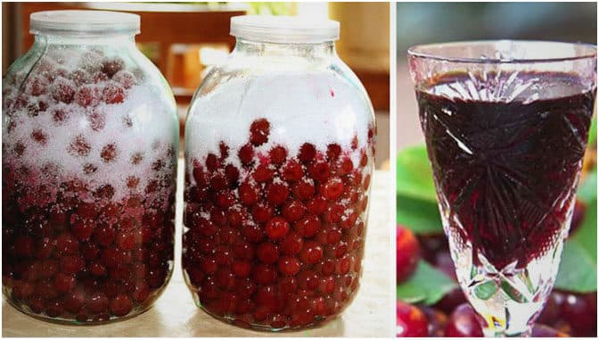 Titelbild für geschmackvoll – Wie man aus 3 Zutaten Kirschlikör macht